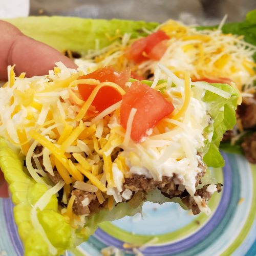 Romaine Lettuce used as taco shell